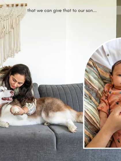 A collage showing the gentle nature of Aspen the Husky with his new human sibling. It's a blessing to raise a child with a dog, and these photos will be a treasured memory of their first days together.