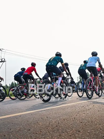 The peloton from behind, showing the long line of riders.