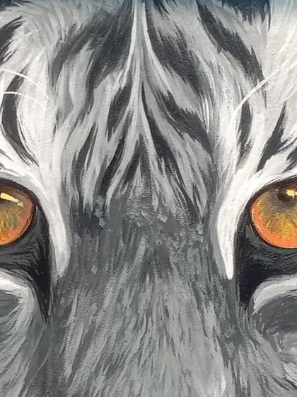 Another detailed shot of the tiger's eyes from the 'Pili Kula' mural. The focus here is on the meticulous brushstrokes used to create the texture of the white and black fur around the vibrant, realistic eyes.
