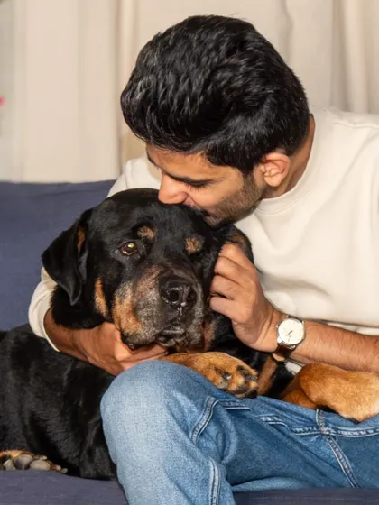 A quiet cuddle on the couch. These simple, everyday moments of affection between a pet and their owner are often the most precious.