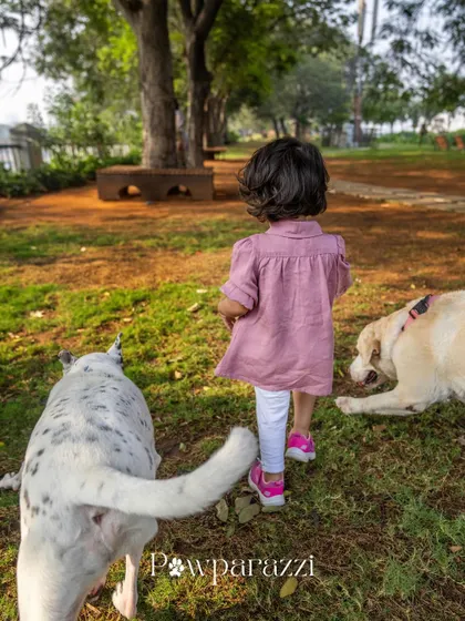 A little girl leads the way, with her two dogs, Shelby and Ollie, following close behind.