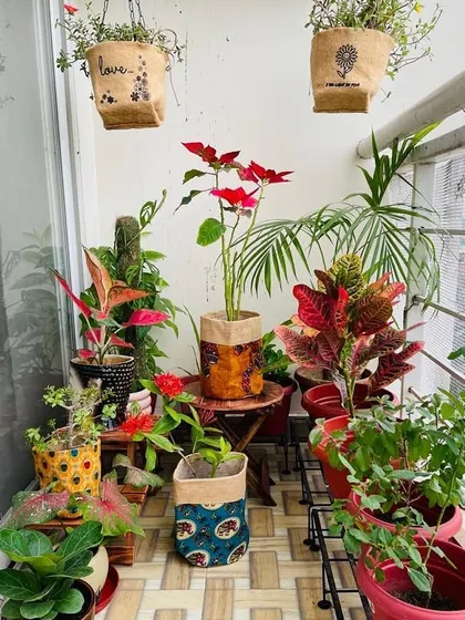 I love using natural and biodegradable materials. These jute grow bags with Kalamkari prints are an eco-friendly and stylish option for holding a variety of potted plants on a client's balcony.