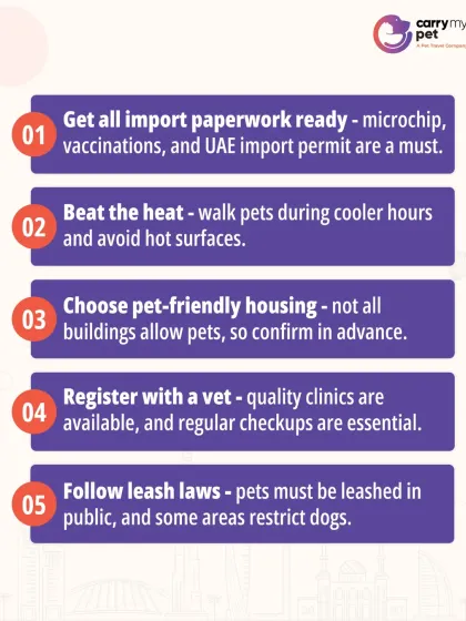 A checklist for moving to Dubai with a pet. Key steps include getting paperwork ready, choosing pet-friendly housing, and registering with a local vet.