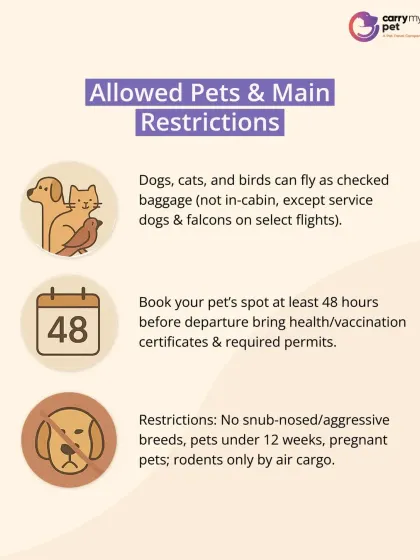 This infographic details which pets are allowed on Qatar Airways and the main restrictions, including rules for snub-nosed breeds and booking timelines.