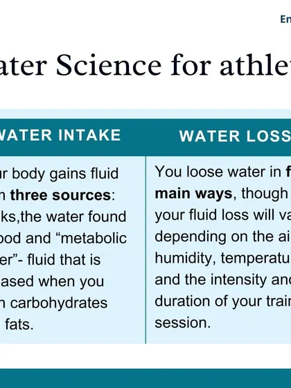 Your body gains fluid from drinks, food, and metabolic processes, but loses it in five main ways. The rate of loss depends on humidity, temperature, and workout intensity.