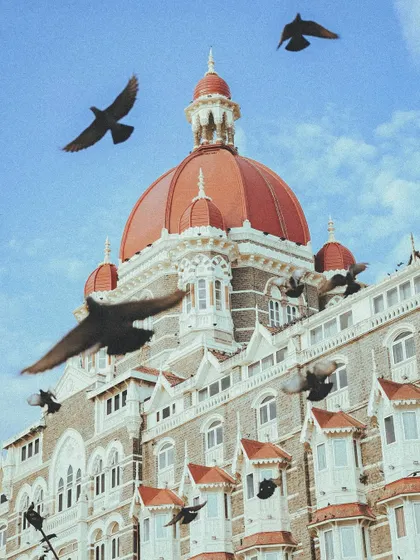 Pigeons in flight around the dome of the Taj Hotel, creating a dynamic and lively architectural shot.