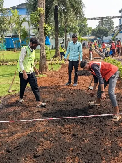 Our team levels the soil for a new lawn section, working carefully around existing garden beds.