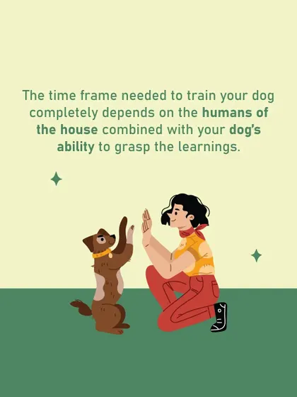Many people ask if training can be done quickly. The truth is, the timeframe depends on the humans in the house and the dog's ability to learn. There are no magic wands, just patience and consistency.