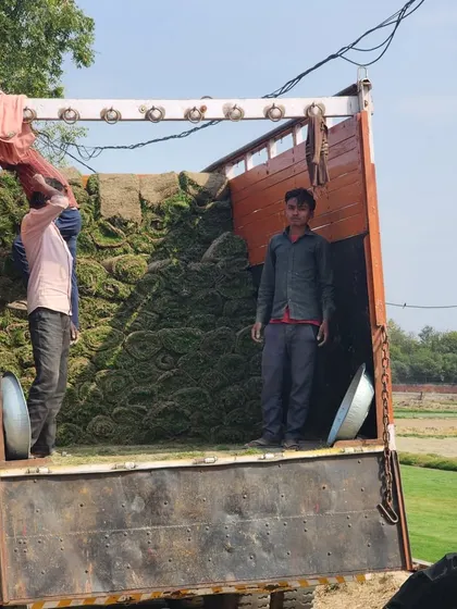 A truck being loaded with our premium turf. We are a trusted supplier for landscaping projects throughout North India.