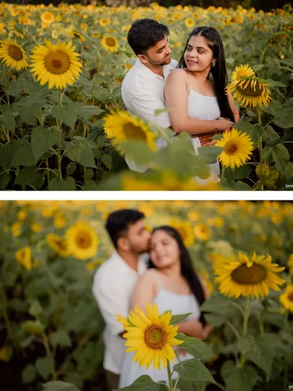 A collage of romantic moments in a sunflower field, including a gentle kiss on the cheek, showcasing the tender connection between the couple.