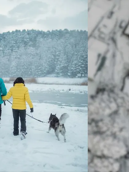 A collage showing the couple walking their dog through the snow and an aerial view of the winter landscape, giving a sense of place and scale.