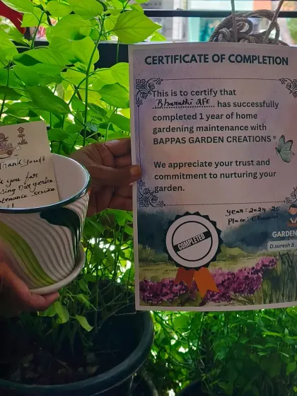 We are proud to celebrate a one year annual maintenance contract with a happy client. This certificate is a symbol of the trust our customers place in us to consistently care for their gardens and keep them healthy.