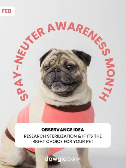 Spay-Neuter Awareness Month is the perfect time to learn about the benefits of sterilization. It can help your pet live a longer, healthier life and prevents unwanted litters.