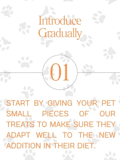 Tip #1: Introduce Gradually. Start by giving your pet small pieces of our treats to make sure they adapt well to the new addition in their diet.