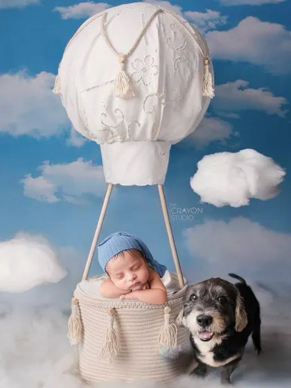 A whimsical portrait featuring a newborn sleeping in a hot air balloon basket, with his furry big brother standing guard. Including pets is a wonderful way to capture the whole family.