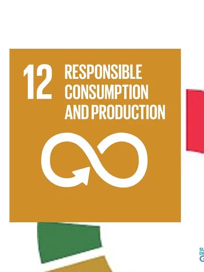 Our work supports SDG 12: Responsible Consumption and Production. We help industries optimize their use of natural resources, leveraging technology to create more output with less energy input.