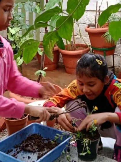 A collection of moments from our various hands-on science activities, showing children deeply engaged in learning through doing.