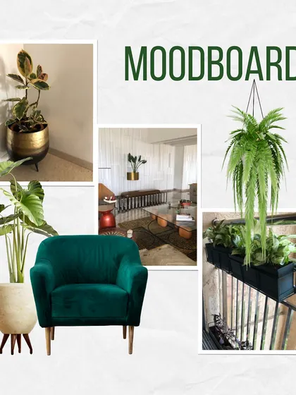A mood board showcasing our love for metal planters. Metal is a sturdy, evergreen material that can be reused and recycled, making it a sustainable choice for custom-designed planters and plant stands.