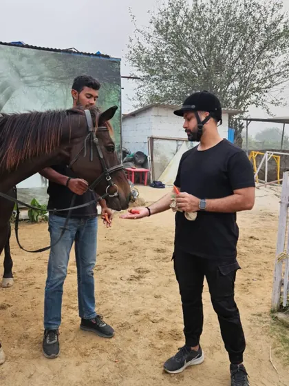 A rider offers his horse a treat after a good lesson. Positive reinforcement is a key part of our training philosophy.