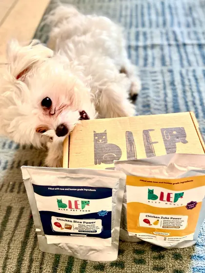 This adorable Maltese used to suffer from acid reflux. His parent is thrilled that our preservative-free fresh food has cured his issues. We can't get enough of that happy, healthy face.