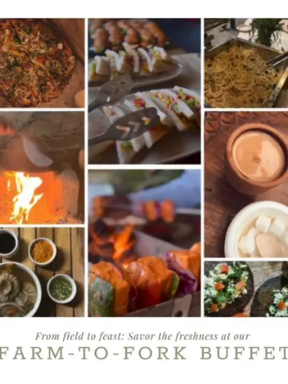 A collage showcasing our farm-to-fork buffet, from wood-fired pizzas and sandwiches to traditional Indian dishes and barbecue skewers.