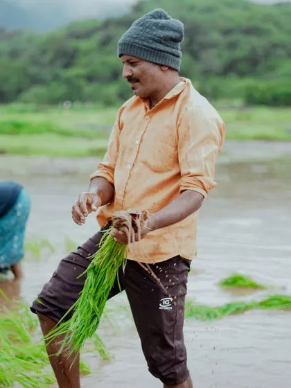 A photo series documenting the vibrant life of Junnar during the monsoon. It includes scenes of children playing, farmers at work, a man diving into a lake, and even a playful monkey.