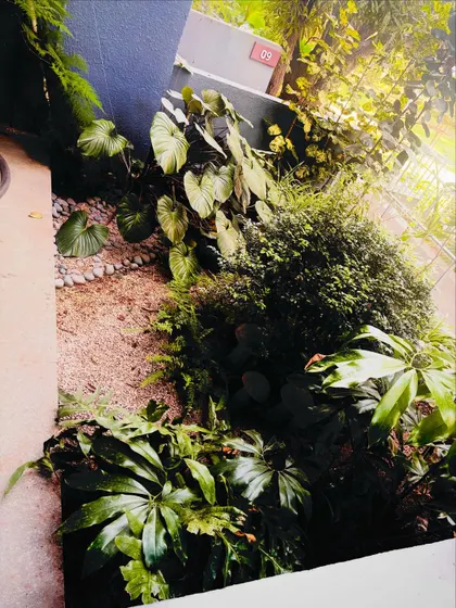 Here's a closer look at the ground-level planting in this garden. We used a mix of textures and shades of green, including ferns and broad-leafed plants, with a gravel and pebble base for a clean, modern look.