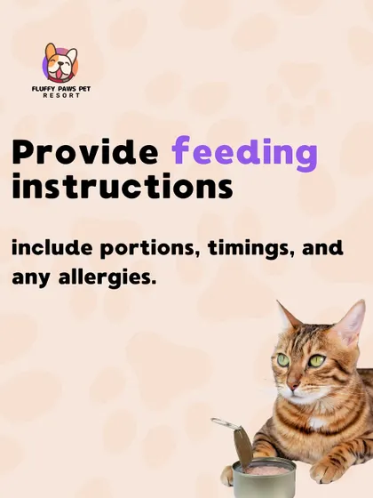Clear feeding instructions are crucial. We follow your directions on portions, timings, and allergies to the letter, and we provide fresh, home-cooked meals daily.