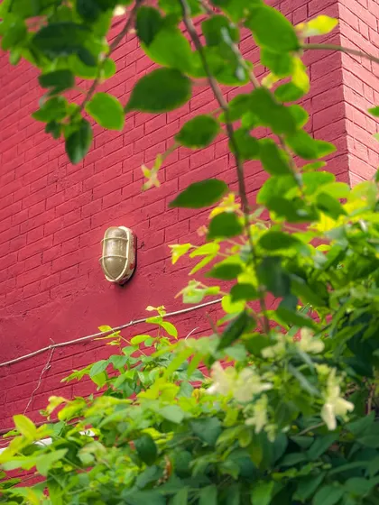 A minimalist shot of a red brick wall, green leaves, and an old lamp. This composition plays with color and texture to create an aesthetically pleasing urban photograph.