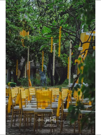 The Tiffany chairs are decorated with yellow fabric bows, and the trees are adorned with hanging floral streamers, creating a whimsical and romantic atmosphere.