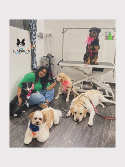 This is my happy place, surrounded by my babies. A Rottweiler, two Labradors, a Shih Tzu, and a Border Collie, all calm and happy after their grooming session.
