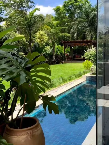 Peeking through a Monstera leaf, this view captures the essence of a tropical backyard with its inviting pool and a distant gazebo, showcasing a layered and immersive garden design.