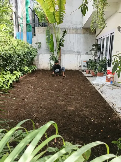 My team member starting the soil preparation work. We take the time to ensure the foundation for your new lawn is perfect.