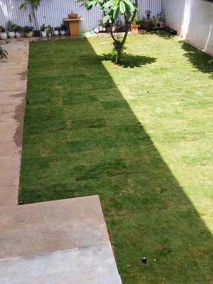 A fresh lawn installation in a side yard, providing a neat and tidy green patch next to the house. I handle everything from clearing the area to laying down high-quality turf for immediate results.
