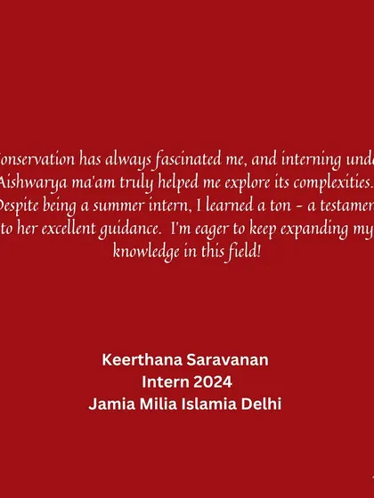 This testimonial from a 2024 intern from Jamia Millia Islamia highlights how our program helps students explore the complexities of conservation. Even a short summer internship can be a deeply enriching learning experience.