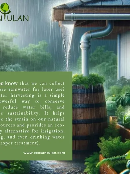 Rainwater harvesting is a powerful way to conserve water and reduce your reliance on municipal sources. This image shows a lush garden thriving on collected rainwater, a perfect example of sustainability in action.