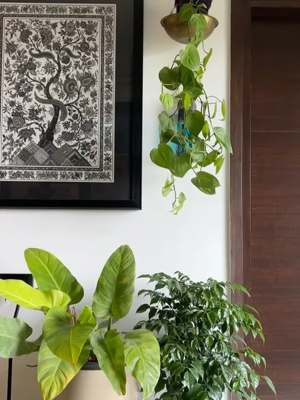 A close-up of the 'Tree of Life' artwork, beautifully complemented by the hanging and potted plants next to it.