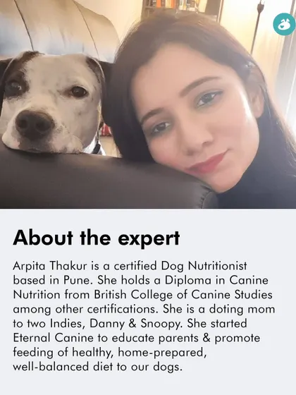 Arpita Thakur, a certified Dog Nutritionist, is passionate about educating parents on the benefits of a well-balanced, home-prepared diet. Learn from her expertise in our live online classes.