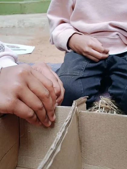 A close-up of a child carefully assembling the cardboard structure for an insect hotel. This project combines engineering, design, and ecological knowledge.