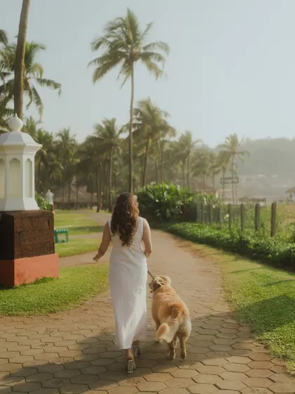 A shot from behind showing the bride in a white dress walking her golden retriever down a path lined with palm trees. This image tells a story of companionship and peaceful moments.