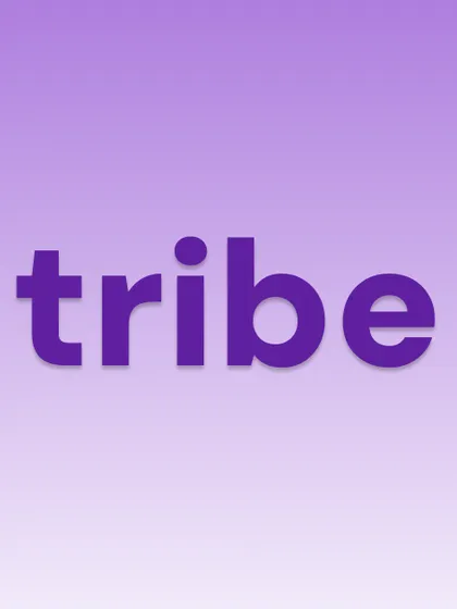 a logo design for 'tribe' on a gradient background. this demonstrates how a simple wordmark can be effective and modern.