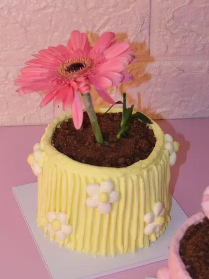 A close-up of our yellow flower pot mini cake, topped with a real pink gerbera daisy. The "soil" is made of delicious chocolate cake crumbs.