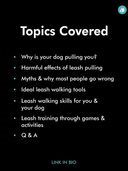 In my "Solve Leash Pulling" masterclass, we cover everything from the root causes of pulling to the right tools and training skills. This slide shows the detailed topics covered, ensuring you get a comprehensive, step-by-step plan.