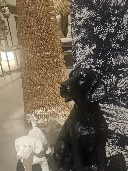 Deck up your outdoor spaces with unique art. These black and white dog sculptures add a classic yet playful element to the decor.