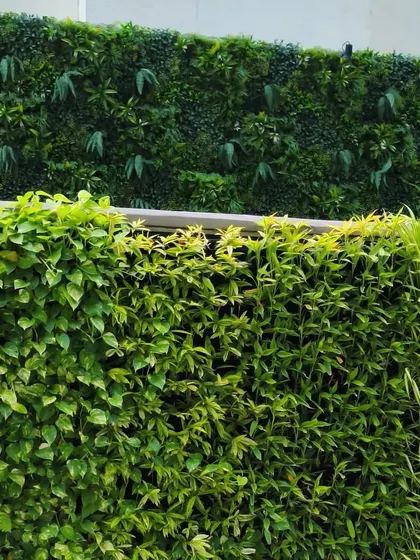 This image shows the difference between our artificial (top) and real (bottom) plant walls. We provide both options so you can choose between the convenience of artificial greenery or the evolving beauty of a living wall.