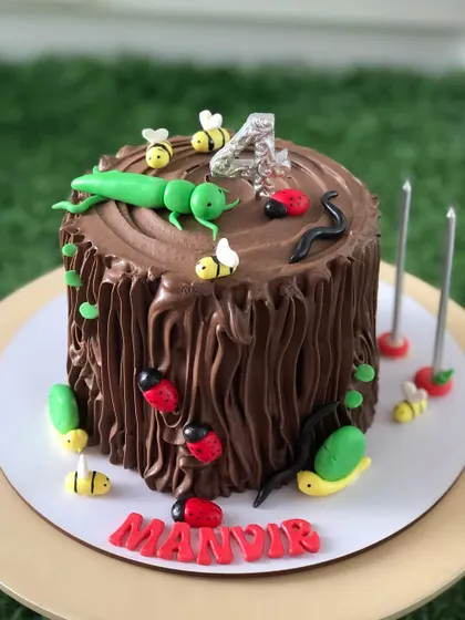 A fun cake for a little entomologist, designed to look like a tree stump with edible bugs, bees, and ladybirds.