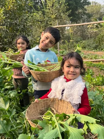 Three smiling children surrounded by lush green plants, proudly showing off their baskets of harvested vegetables.
