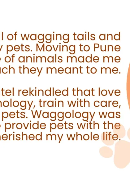 This collection includes more details about my services, brand announcements, and my philosophy. From explaining why dogs run to you to showcasing my team at events, it all reflects my commitment to professional, empathetic pet care.