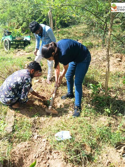 Volunteers at our Jaunapur City Forest site. These images show individuals from the community taking initiative, digging, planting, and learning from our team, embodying the spirit of grassroots environmentalism.
