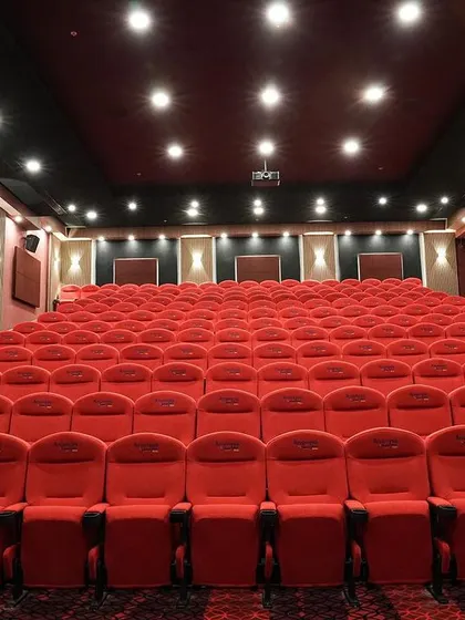A duplicate of 255, this image again emphasizes the impressive scale and professional quality of this large-scale private cinema.